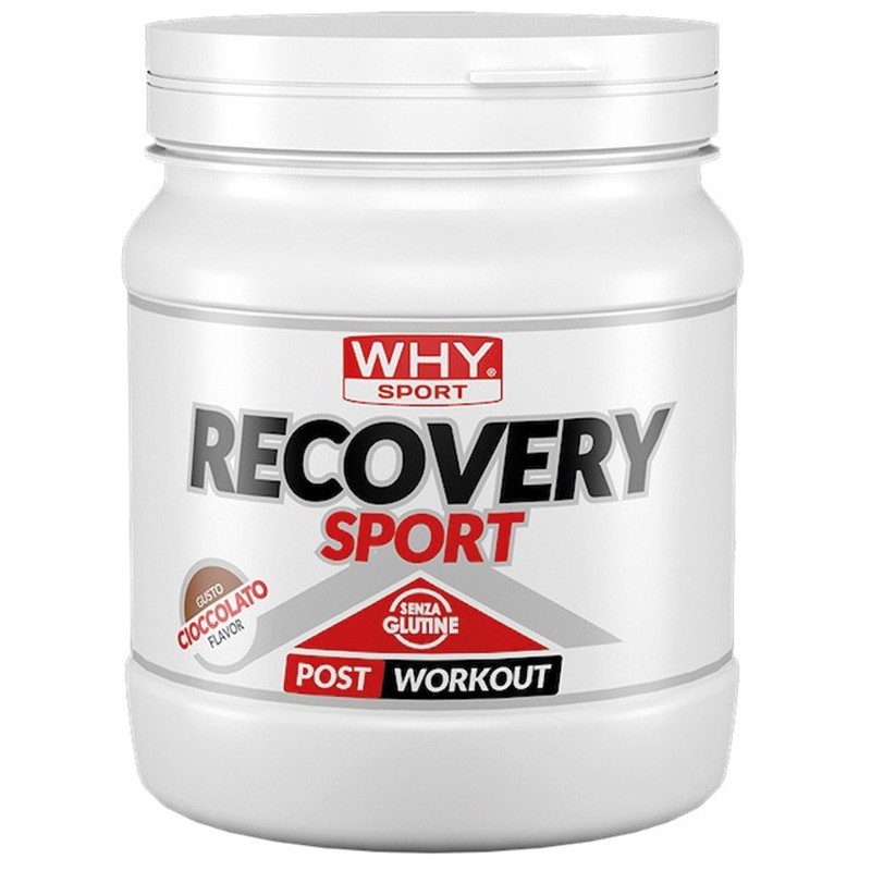 RECOVERY SPORT 400g - WHYsport